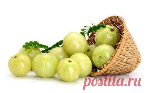 Амла для укрепления волос — изумрудное колдовство