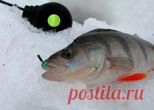 Рыбалка видео: Мормышка «Кошачий глаз»