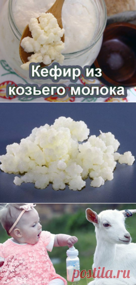 Кефир из козьего молока - как сделать в домашних условиях