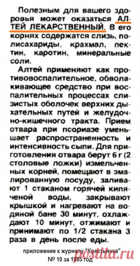 Корень алтея лекарственного