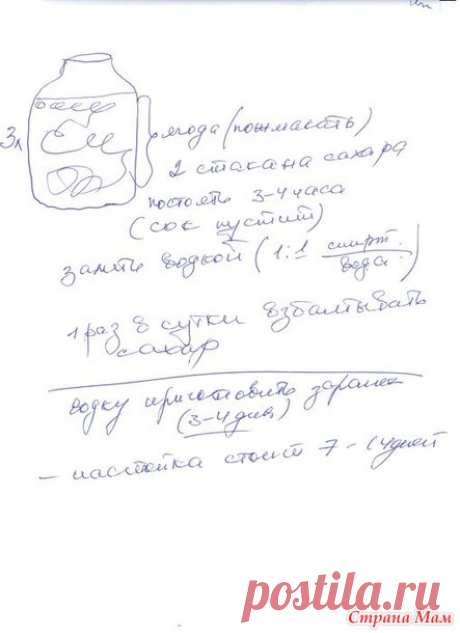 Наливка от Михайловича, бонусом Хреновуха)) - Страна Мам