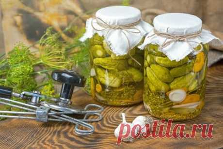 Огурцы с яблочным уксусом на зиму – 8 рецептов маринования