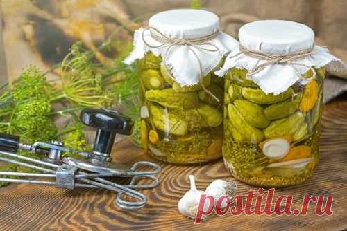 Огурцы с яблочным уксусом на зиму – 8 рецептов маринования