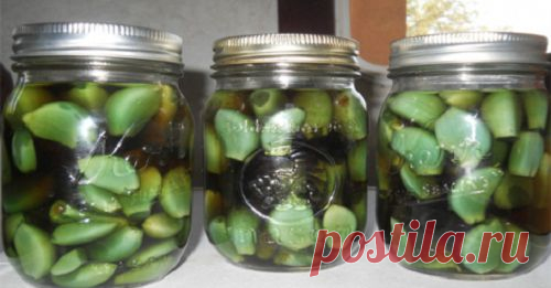 Ajo, vinagre de manzana y miel: una combinación que trata muchas enfermedades - Mejor Con Salud