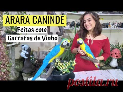 DIY-ARARA-CANINDÉ из винной бутылки