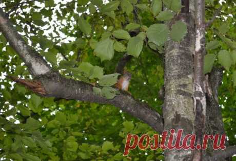 Урок 1: Знакомство с фотокамерой.Домашние задания / Fotoshkola.net