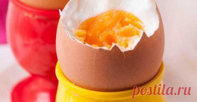 Худые француженки иногда придерживаются этой диеты, 10 дней достаточно. Худеем как в Европе. — ХОЗЯЮШКА24