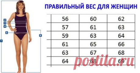 Стиль жизни