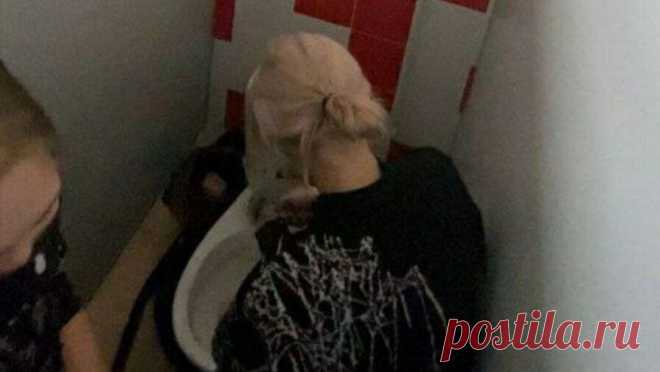 Девятиклассницы расчленили котенка в школьном туалете и сделали из его костей украшения. В Сыктывкаре девятиклассницы расчленили котенка в школьном туалете и похвастались украшениями из его костей. Об этом сообщает Telegram-канал Mash. По данным Telegram-канала, две ученицы девятого класса между шестым и седьмым уроками ...