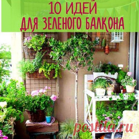 Райский уголок в вашей квартире