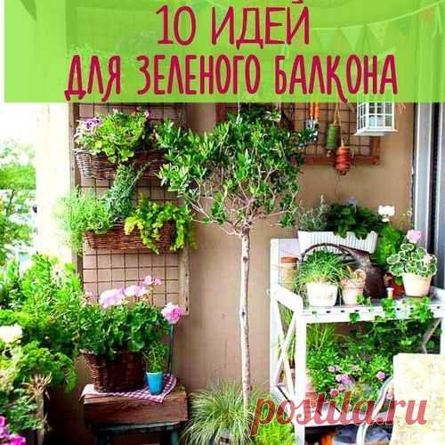 Райский уголок в вашей квартире