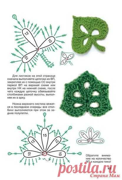 (3) Pinterest