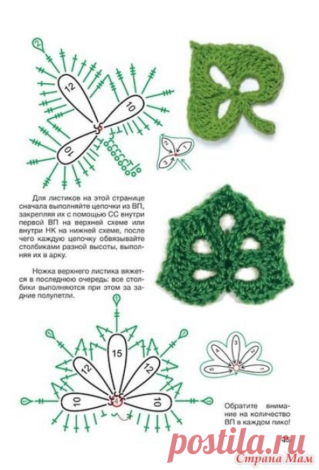 (3) Pinterest