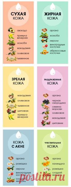 (15) Pinterest
