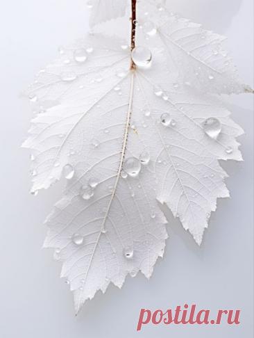 Пин на доске абстракция