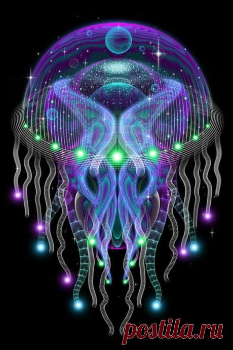 (51) Pinterest