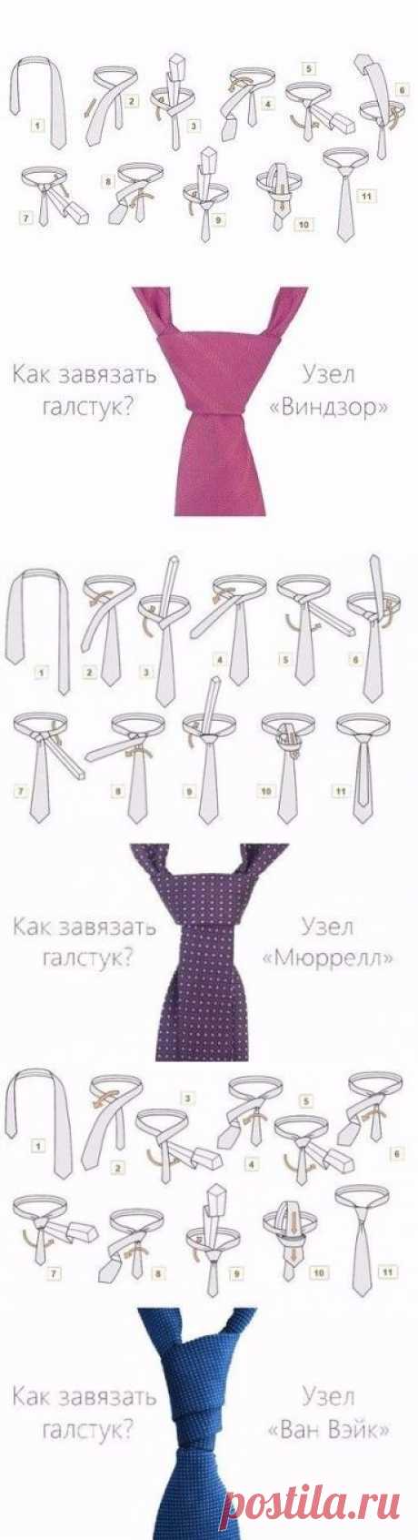 (3) Одноклассники