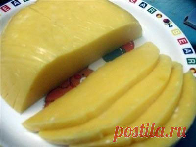 Вкусные рецепты Домашний твердый сыр