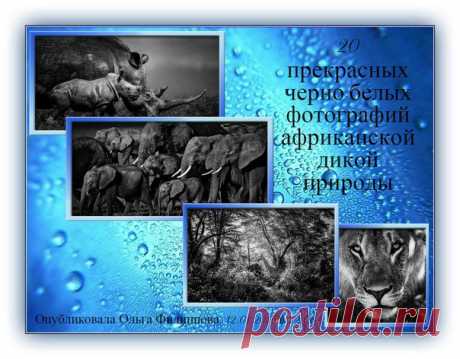 Юрий Пахомов