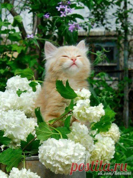 У-у-у! Скоро лето !!!
 Красивые картинки и открытки vk.com/fotomimi