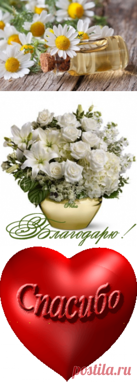 НЕ БЕРИТЕ НА СЕБЯ ОТВЕТСТВЕННОСТЬ ЗА СЧАСТЬЕ НЕСЧАСТЛИВОГО ЧЕЛОВ - """"ТЕРРИТОРИЯ УСПЕХА - Группы Мой Мир