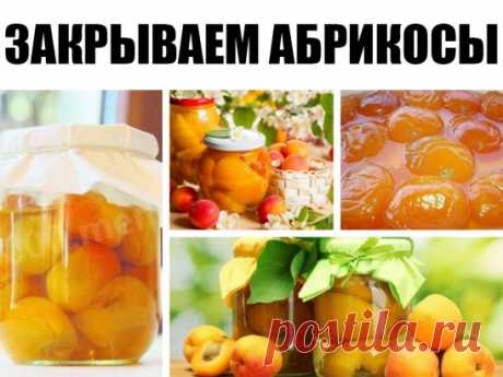 ЗАКРЫВАЕМ АБРИКОСЫ - 10 РЕЦЕПТОВ!
1. Абрикосовое варенье – такое нежное, такое солнечное и такое вкусное! В этом рецепте вы узнаете как приготовить прозрачное варенье из абрикосов.
Необходимые ингредиенты:
    абрикосы;
    сахарный песок.
Приготовление:
1. Абрикосы моем и поделив на половинки выкладываем на дно кастрюли, в которой и будет оно вариться.
2. Засыпаем ровным слоем сахара.И так слой за слоем.
3. Раскалываем косточки и достаем орехи.
Бросаем их туда же в кастрюлю.
4. Засыпав все
