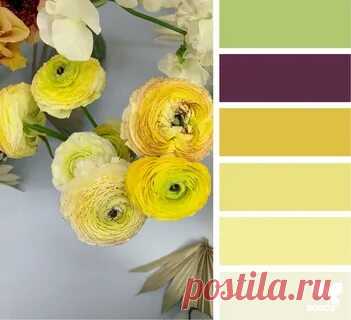сочетание желтого с другими цветами: 2 тыс изображений найдено в Яндекс Картинках