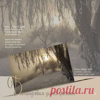 Открытка (плейкаст) «* * *Январские рассветы...» Автор плейкаста: _Svetlana_. Когда: 21.01.2016.