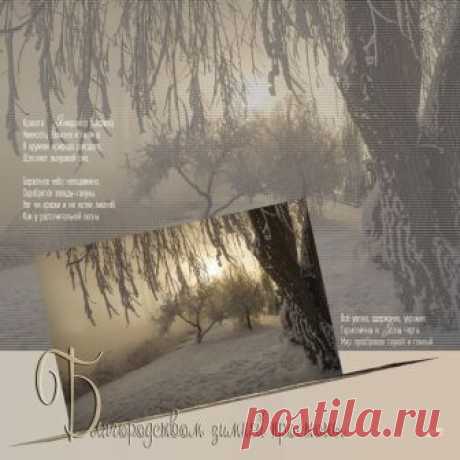 Открытка (плейкаст) «* * *Январские рассветы...» Автор плейкаста: _Svetlana_. Когда: 21.01.2016.
