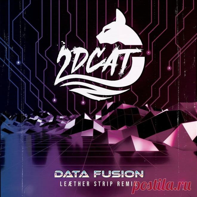 2DCAT - Data Fusion (Leæther Strip Remix) (2023) 320kbps / FLAC