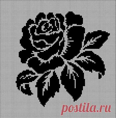 6e10ba1f1f60b1c708859ab1781ff117.jpg (552×561)