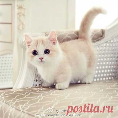 Pinterest: инструмент для поиска и хранения интересных идей