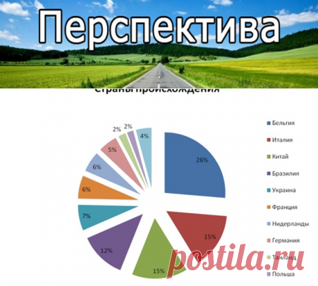 Таможенная база данных и статистика ВЭД | Pravdoiskatel
