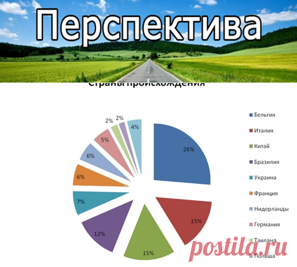 Таможенная база данных и статистика ВЭД | Pravdoiskatel