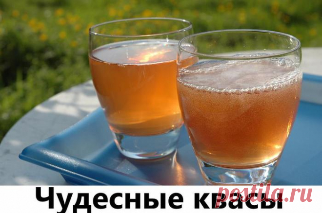 Чудесные квасы для похудения и очистки организма
