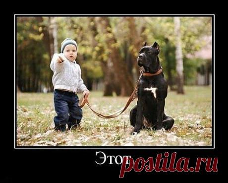 Мой Мир@Mail.Ru