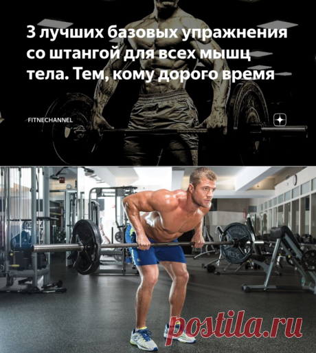 3 лучших базовых упражнения со штангой для всех мышц тела. Тем, кому дорого время | fitnechannel | Яндекс Дзен