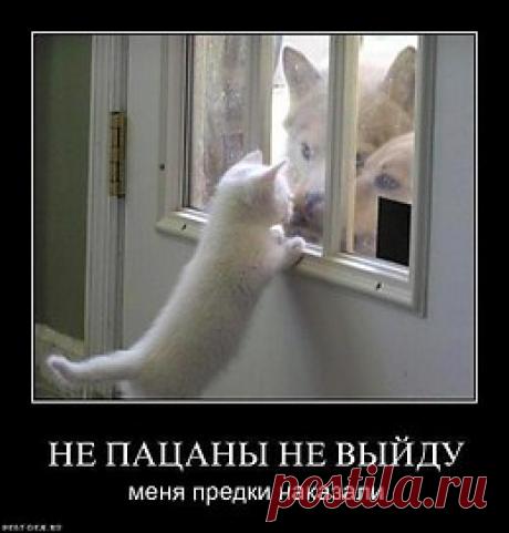 интересные фразы