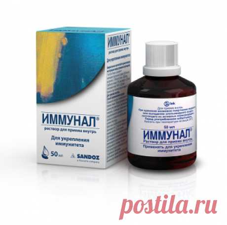Иммунал - натуральный препарат для повышения иммунитета у детей и взрослых, современный природный иммуномодулятор. Состав, свойства Иммунала, отзывы о препарате