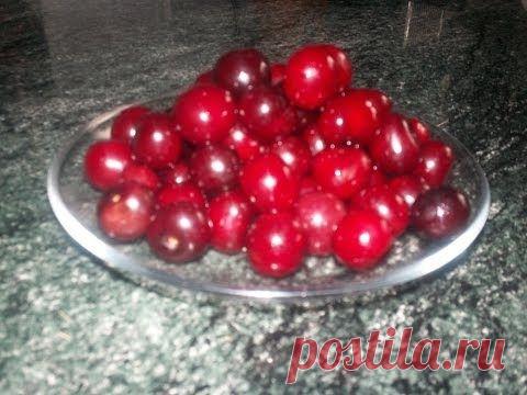 Настойки, наливки...