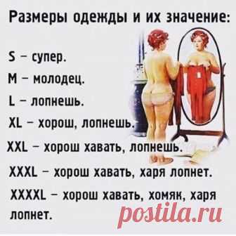 >Юмор и позитив
