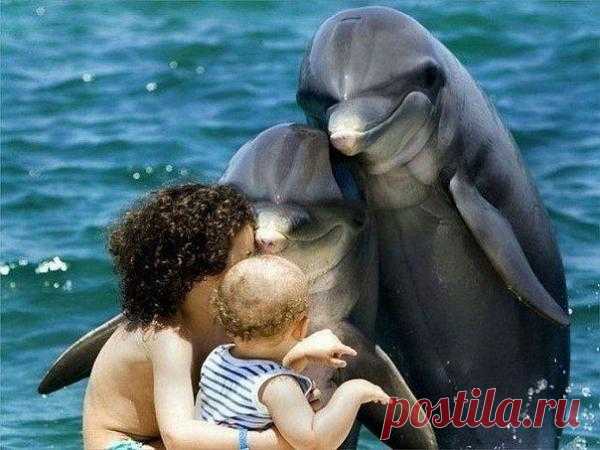 Привет, малыш!:)