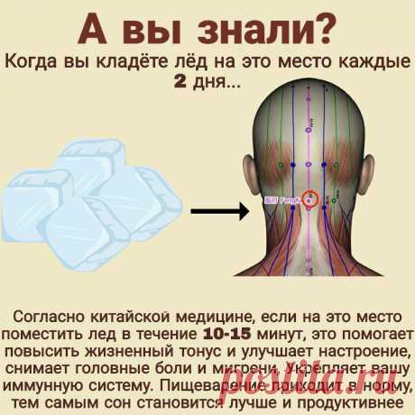 Приложите кусочек льда к точке Фэн-фу на шее