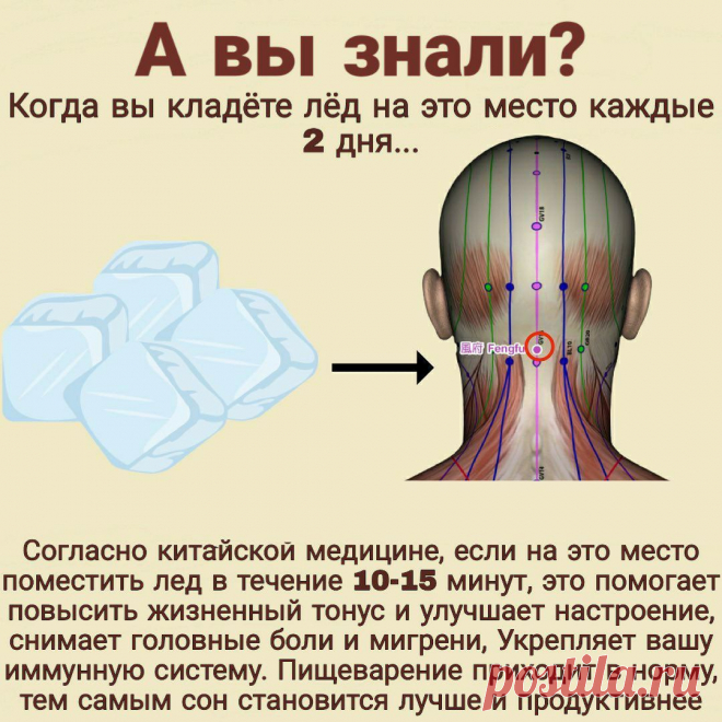 Приложите кусочек льда к точке Фэн-фу на шее