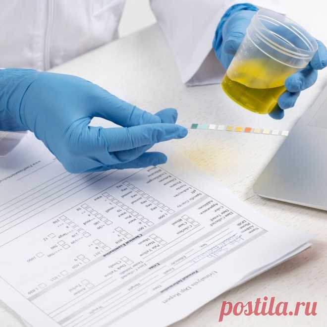 ⚕️ Медицинский центр с использованием инновационных технологий
👪 Индивидуальный подход 😲 Большой опыт работ 💖 Приятные цены
🌍 Украина, Киев, Позняки, ул. Анны Ахматовой 13-Д 📞 0-800-600-0-80