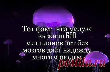 )))))