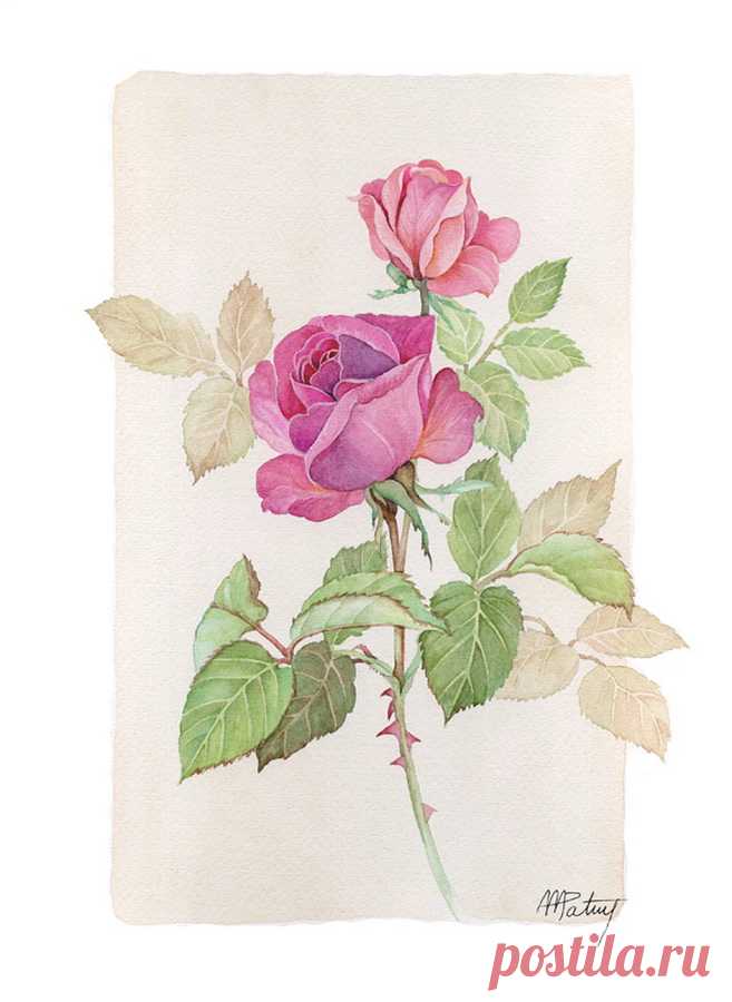 4d68d21d.jpg (657×900)