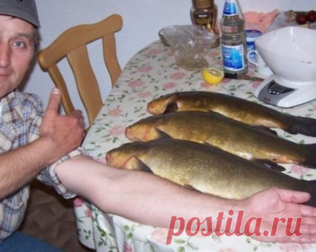 На что ловят линя?