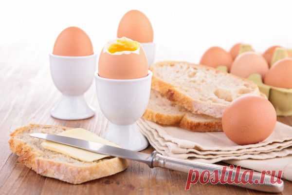 Вкусные рецепты