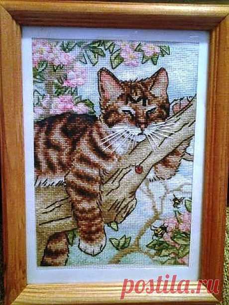 Кот на дереве